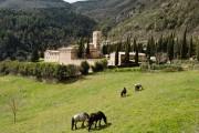 Abbazia San Pietro In Valle