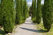 Laticastelli Country Relais