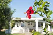 Masseria Don Luigi-Luxury Farmhouse  