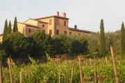 Tenuta di Lupinari