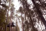 Treehotel